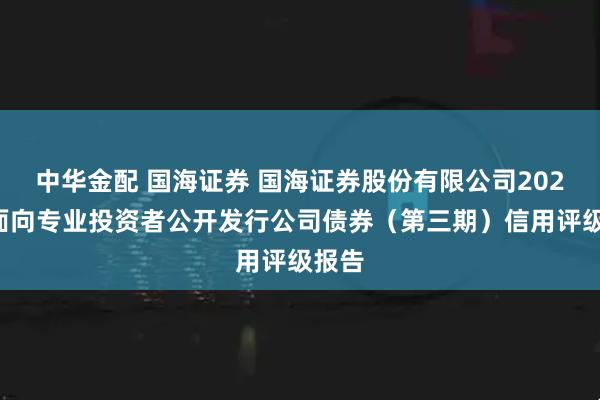 中华金配 国海证券 国海证券股份有限公司2025年面向专业投资者公开发行公司债券（第三期）信用评级报告