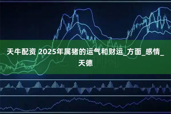 天牛配资 2025年属猪的运气和财运_方面_感情_天德