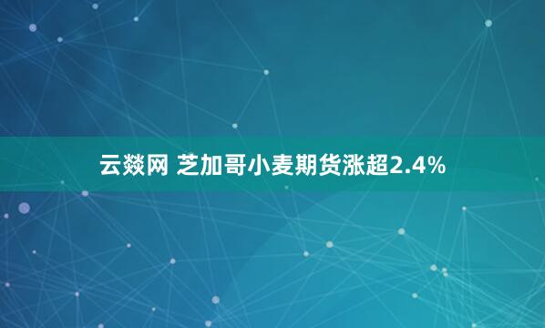 云燚网 芝加哥小麦期货涨超2.4%