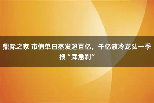 鼎际之家 市值单日蒸发超百亿，千亿液冷龙头一季报“踩急刹”